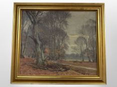 Danish School : Trees in autumn, oil on canvas,