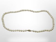 A cultured pearl necklace on 9ct yellow gold clasp, length 44 cm.