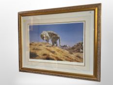 After Duncan Hodge : Cheetah, colour print signed in pencil numbered 386 of 550,