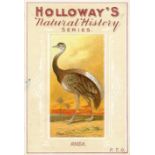 HOLLOWAY, Natural History - Birds, complete, G to G, 39