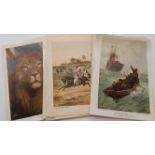 BOYS OWN, insert prints, inc. shipping, butterflies, canaries, Hungarian Holiday, crests, lions