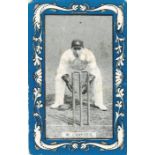 WILLS, Australian & English Cricketers (1910), missing Armstrong & Gregory, blue borders, Vice-Regal