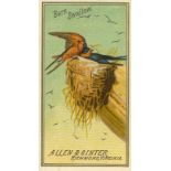 ALLEN & GINTER, Birds of America, complete, G to VG, 50