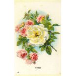 I.T.C., Garden Flowers, silks, part set (51/55), number and caption on two lines, missing nos. 6,