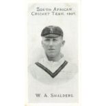 TADDY, South African Cricket Team 1907, complete, with variation for W A Shalders, FR to G, 15+1