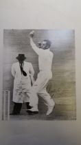 CRICKET, signed press photographs, inc. Alec Bedser & Jim Laker, both black and white, from the