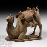 Chinese Tang Kneeling Camel