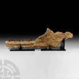 Natural History - Large Mosasaur Fossil Jaw on Stand