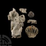 Medieval 'Thames' Pewter Pilgrim's Ampulla and Scallop Shell Badge Collection