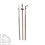 Post Medieval Iron Pike Collection