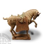 Large Chinese Tang Terracotta Horse