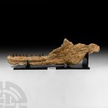 Natural History - Large Mosasaur Fossil Jaw on Stand