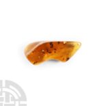 Natural History - Large Display Piece of Polished Amber with Insects