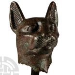 Large Egyptian Bronze Head of a Cat