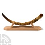 Natural History - Complete Ice Age Juvenile Mammoth Tusk