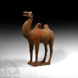 Chinese Tang Ceramic Standing Camel