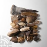 Stone Age Flint Implement Collection