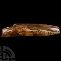 Natural History - Woolly Mammoth Tusk Section