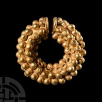 Etruscan Gold Leech Earring