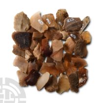 Stone Age Flint Microlith Group