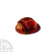 Western Asiatic Ladybug Gemstone Amulet