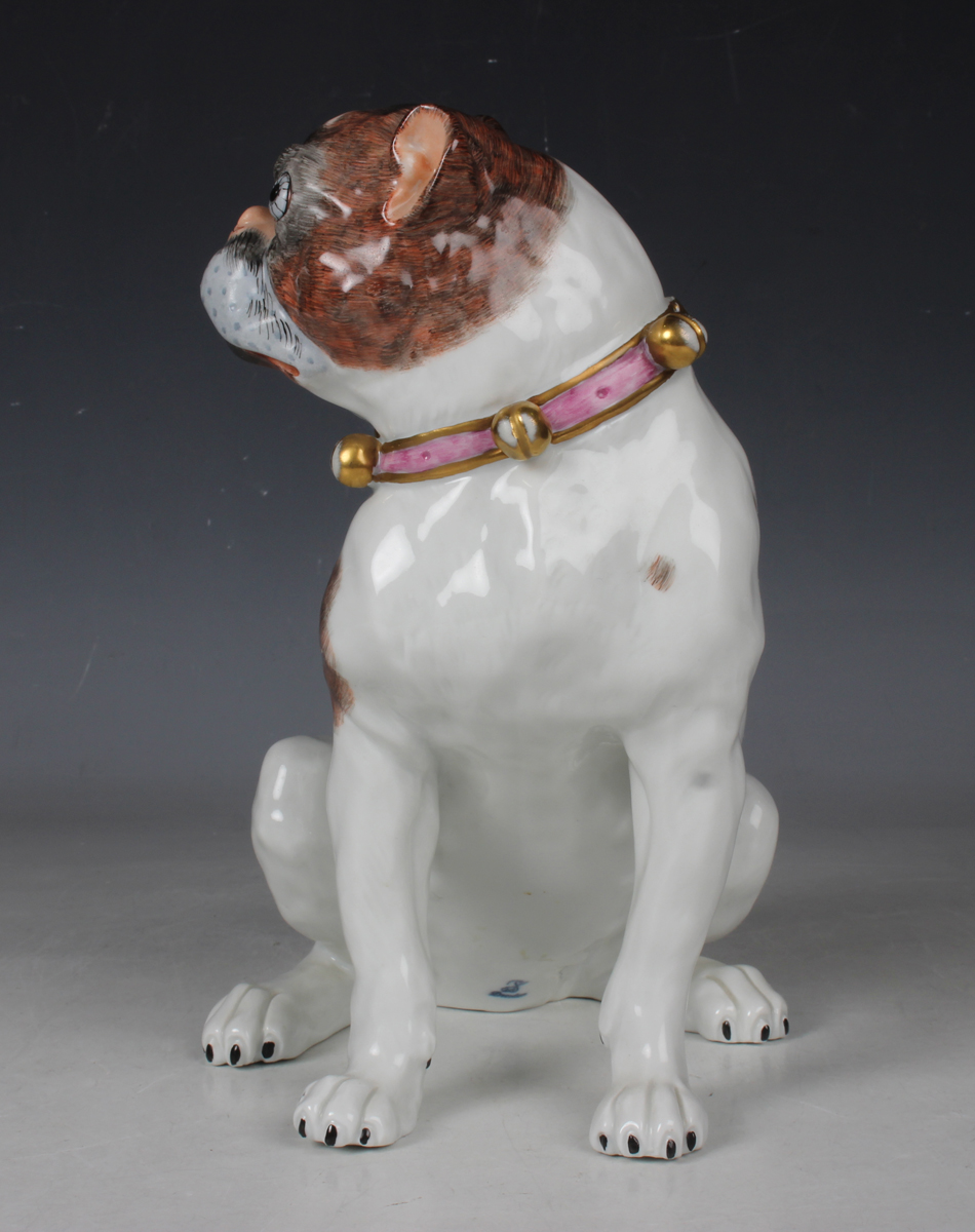 A Dresden porcelain Meissen style model of a pug, 20th century, typically modelled seated and - Image 3 of 4