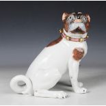 A Dresden porcelain Meissen style model of a pug, 20th century, typically modelled seated and