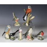 Seven bone china birds by Mack, comprising song thrush, Dartford warbler, long-tailed-tit, robin,