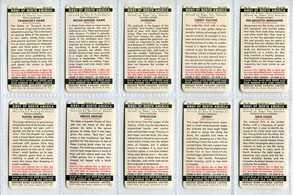 A large collection of cigarette and trade cards, in albums and loose, including a set of 48 Brooke - Image 6 of 18