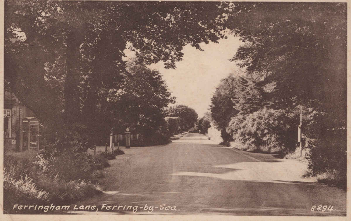 A collection of approximately 78 postcards of West Sussex, including photographic postcards - Image 23 of 38