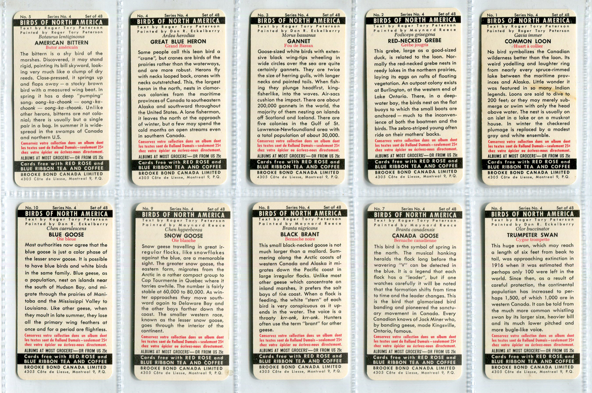 A large collection of cigarette and trade cards, in albums and loose, including a set of 48 Brooke - Image 10 of 18