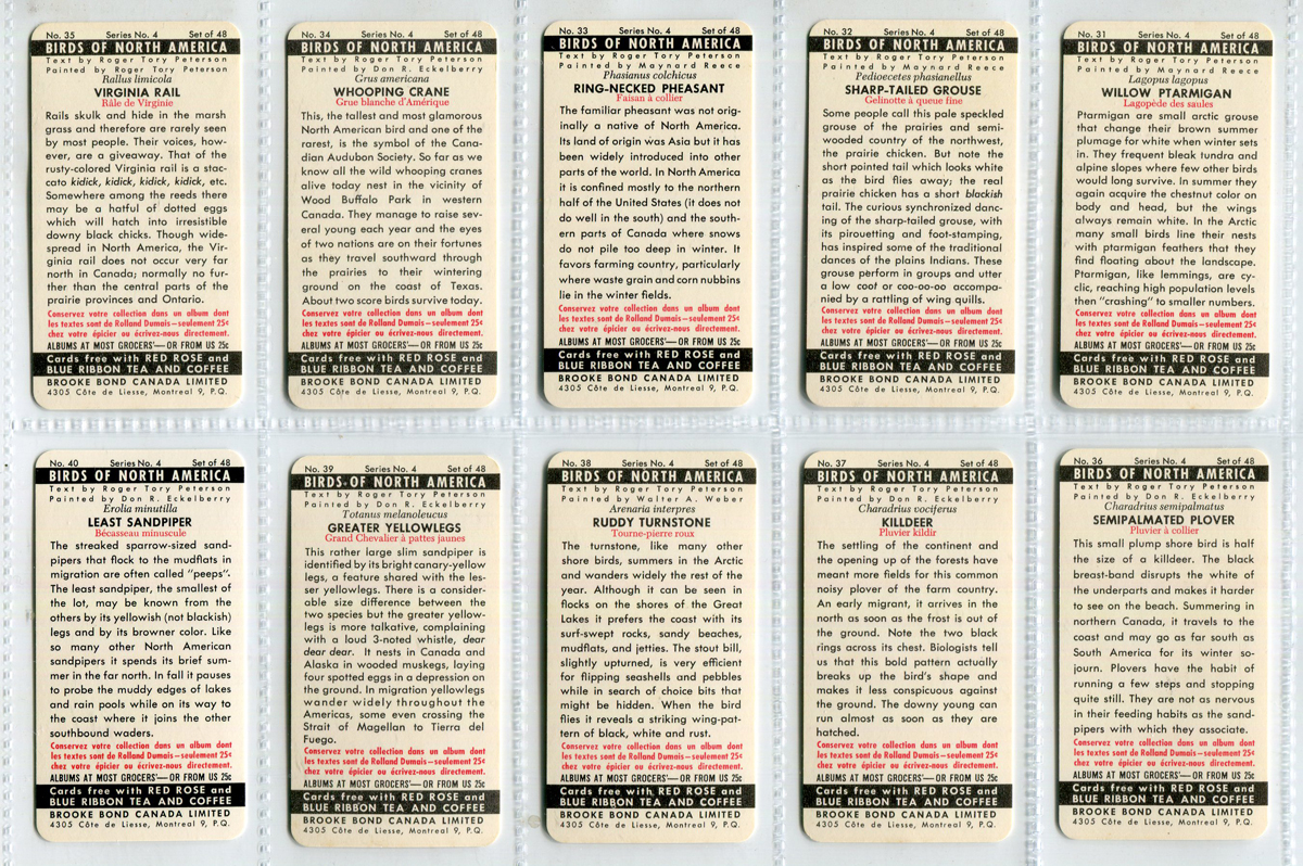 A large collection of cigarette and trade cards, in albums and loose, including a set of 48 Brooke - Image 4 of 18