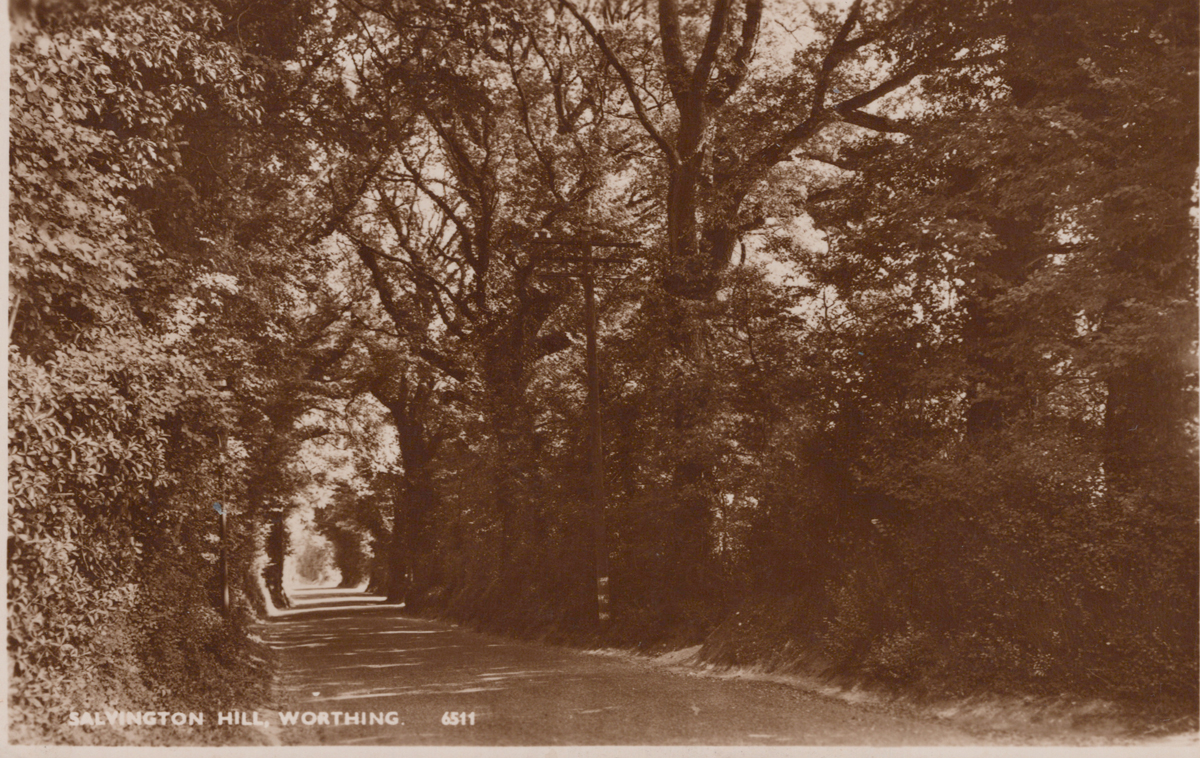 A collection of approximately 78 postcards of West Sussex, including photographic postcards - Image 19 of 38