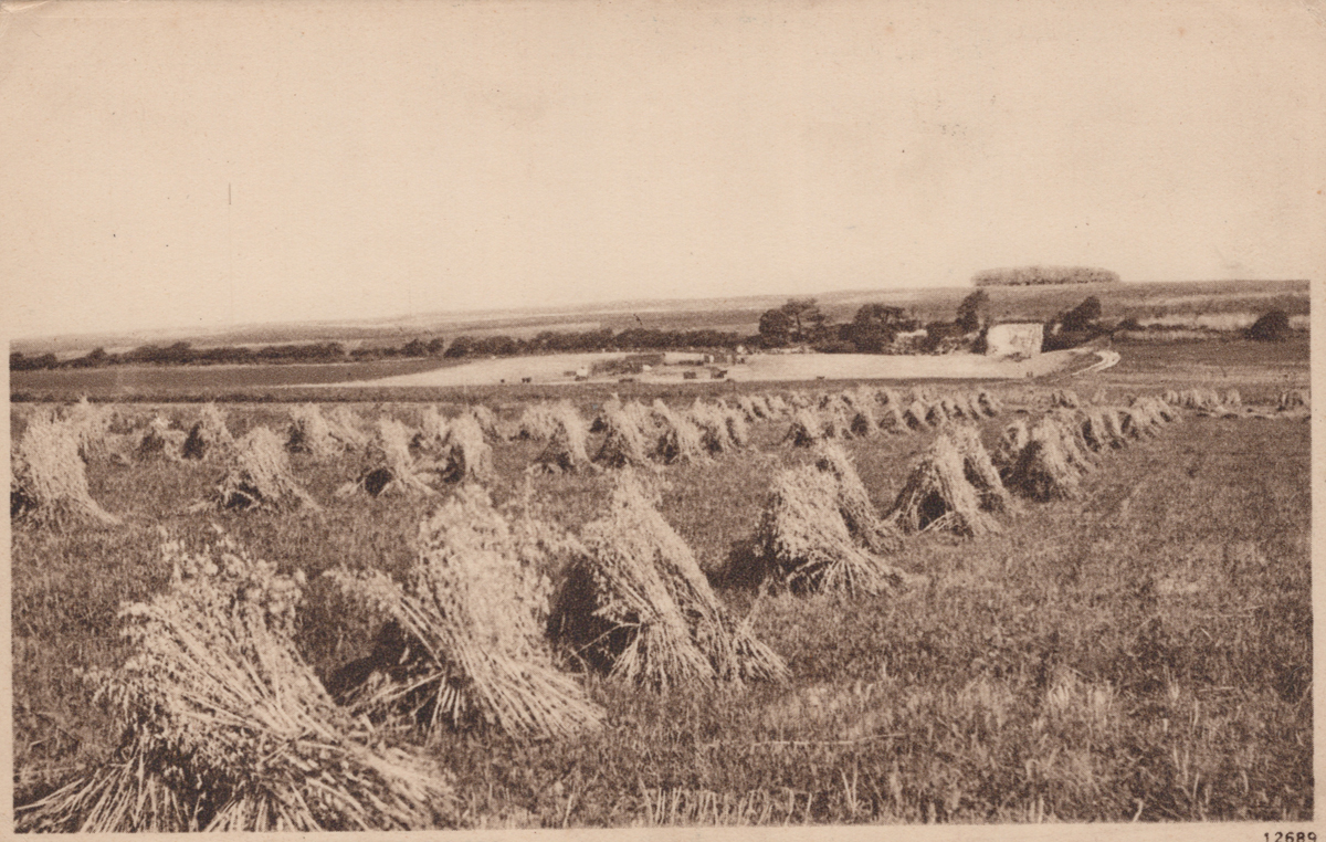 A collection of approximately 78 postcards of West Sussex, including photographic postcards - Image 24 of 38