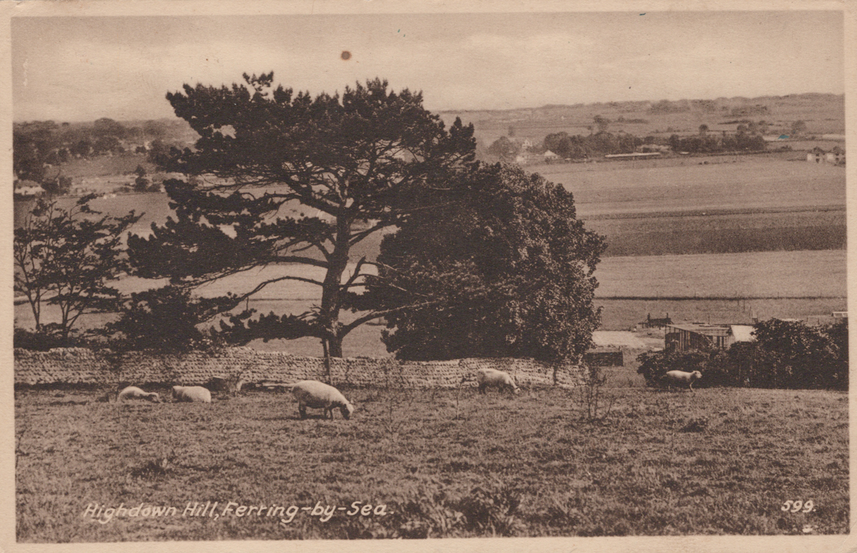 A collection of approximately 78 postcards of West Sussex, including photographic postcards - Image 25 of 38