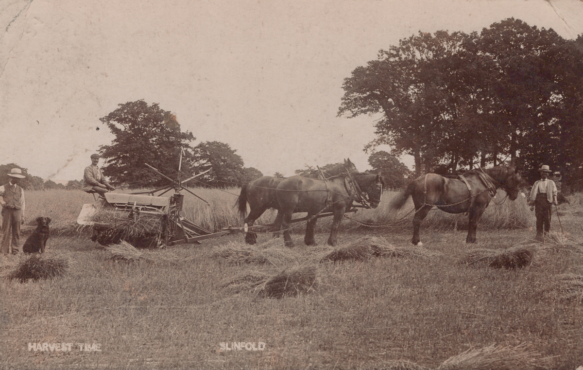 A collection of 45 postcards of Slinfold, West Sussex, including photographic postcards titled ' - Image 12 of 14