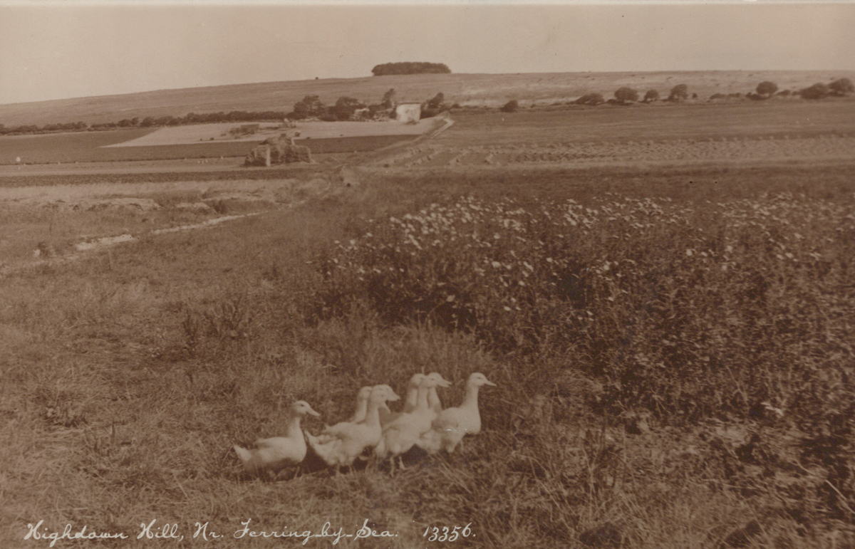 A collection of approximately 78 postcards of West Sussex, including photographic postcards - Image 16 of 38