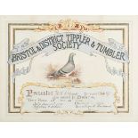 Attributed to Andrew Beer - 'Bristol & District Tippler & Tumbler Society', watercolour with