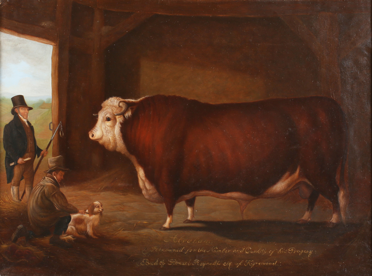 Edmund Bristow - 'Abraham' (Prize Hereford Bull), 19th century oil on canvas, signed and titled