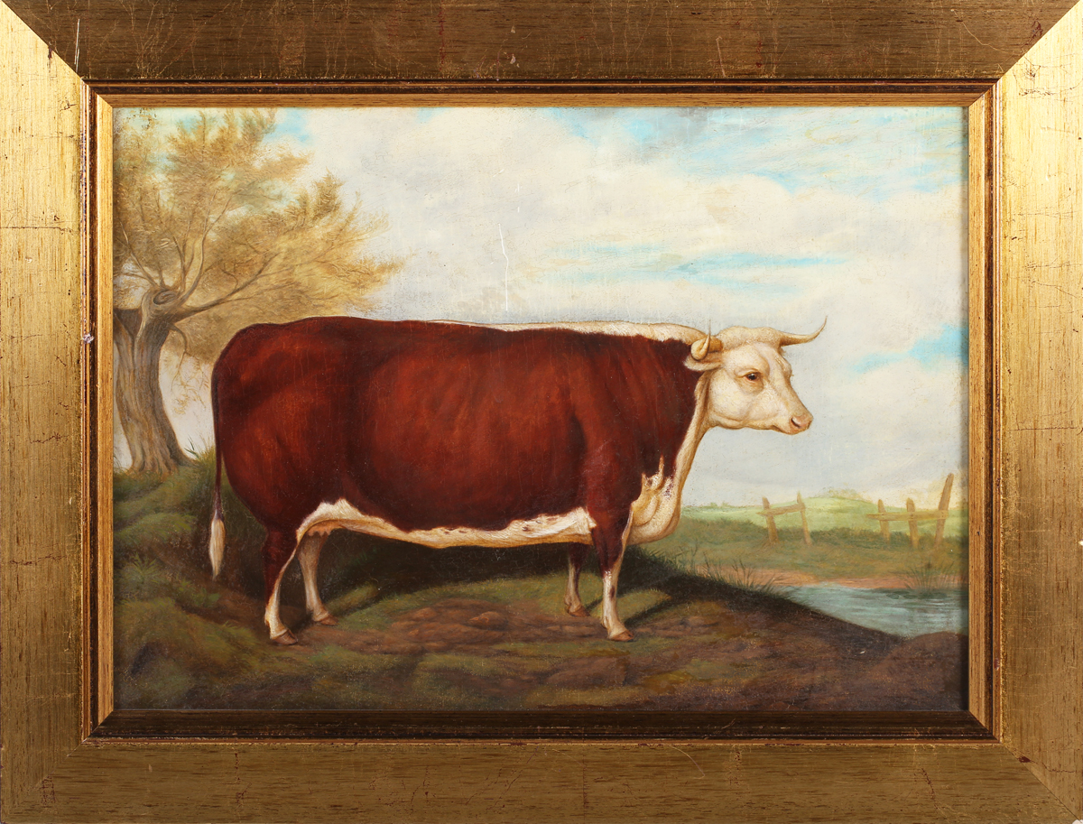 Robert Nightingale - 'Mayfly' (Prize Hereford Bull), 19th century oil on canvas, titled label and - Image 4 of 4