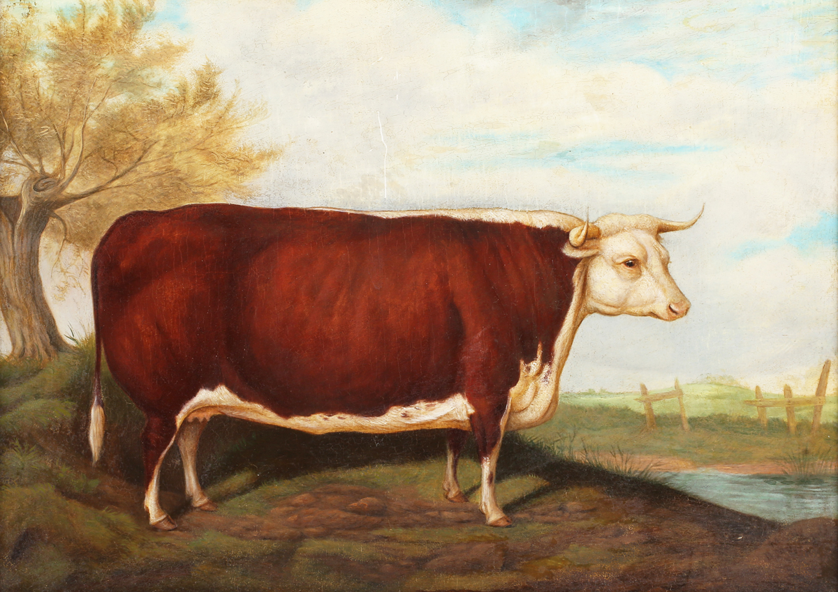 Robert Nightingale - 'Mayfly' (Prize Hereford Bull), 19th century oil on canvas, titled label and