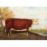 Robert Nightingale - 'Mayfly' (Prize Hereford Bull), 19th century oil on canvas, titled label and