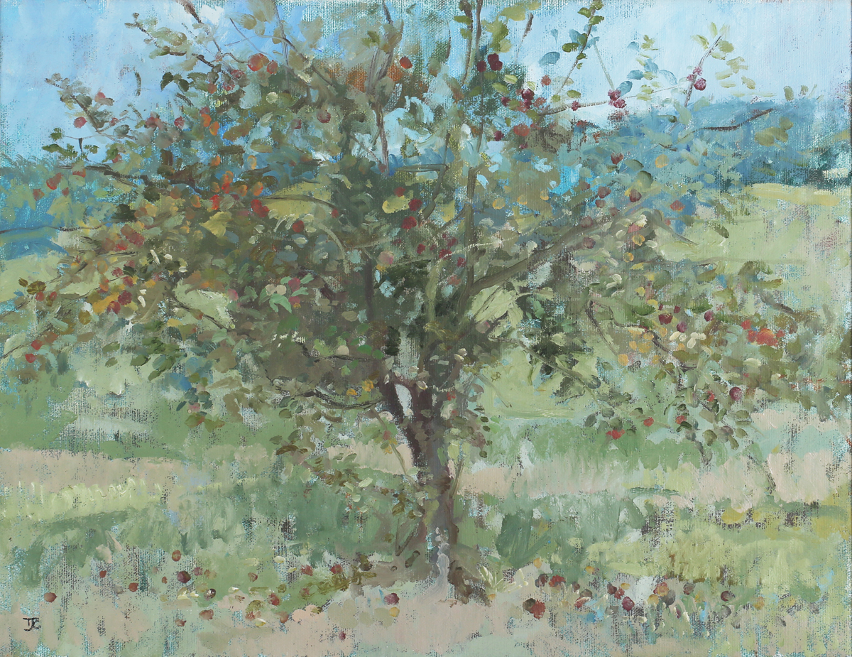 Tom Coates - 'The Apple Tree', 20th century oil on canvas, signed with initials recto, titled