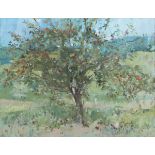 Tom Coates - 'The Apple Tree', 20th century oil on canvas, signed with initials recto, titled