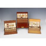 A collection of one hundred and thirty-two microscope specimen slides, late Victorian and mostly
