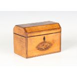A George III satinwood tea caddy with inlaid urn and shell paterae, within tulipwood crossbanding,