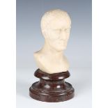 A 19th century carved Carrara marble bust of Wellington, raised on a turned serpentine pedestal,