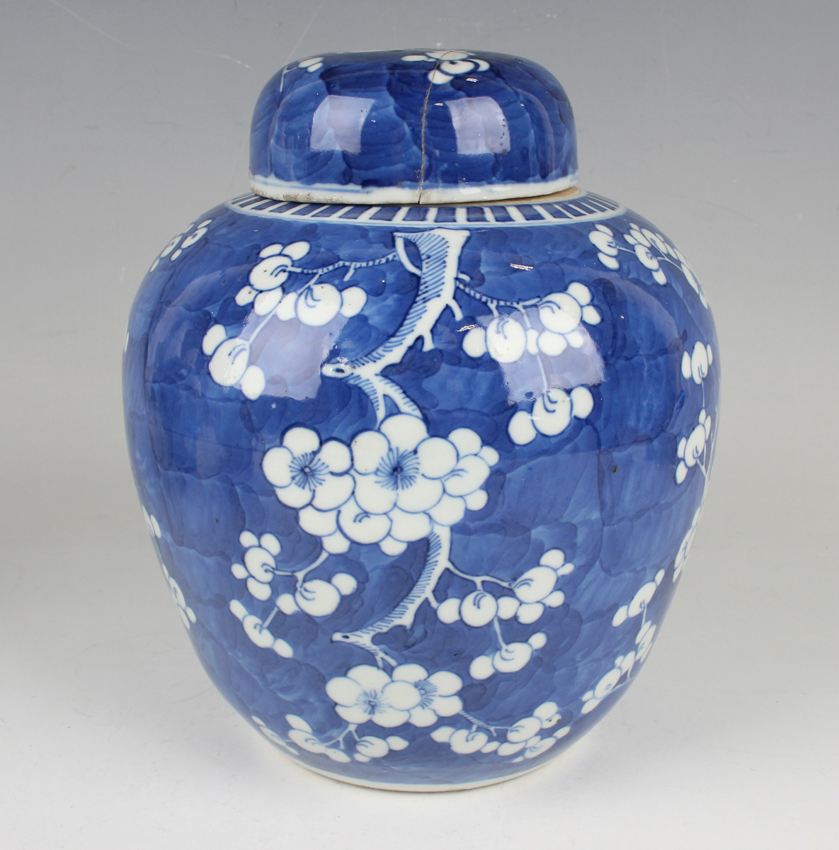 A small group of Chinese blue and white porcelain, late 19th century, comprising a prunus- - Image 25 of 26