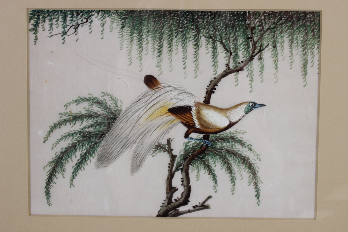 A set of four Chinese Canton export watercolour paintings on rice paper, mid to late 19th century, - Image 7 of 12