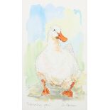 Liz Fletcher - 'Watching You!' (Study of a White Pekin Duck), 20th century watercolour, signed and